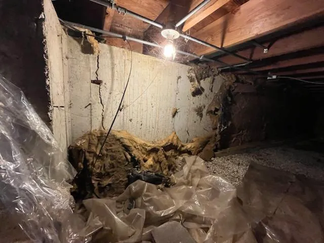 DuraCon Restoration Picture 4