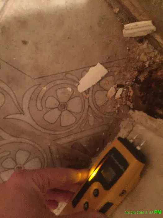 Advanced Mold Testing Picture 6