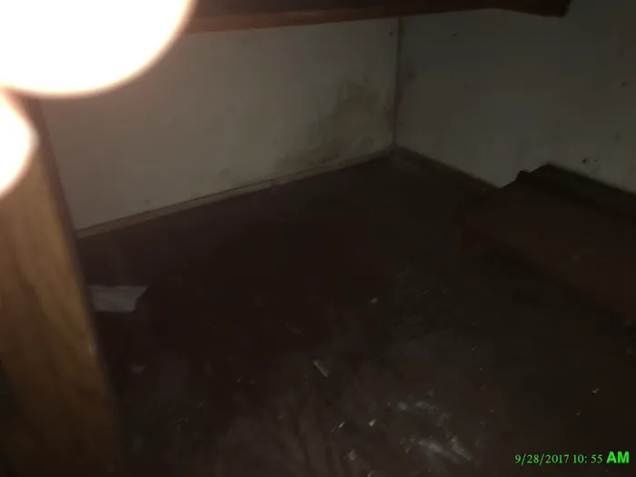 Advanced Mold Testing Picture 8