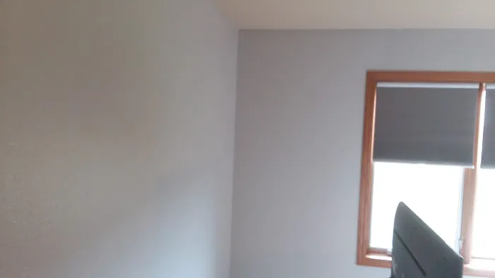 Gerard's Painting Picture 7