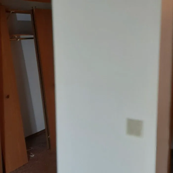 Gerard's Painting Picture 6