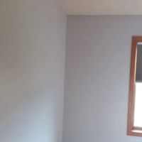 Gerard's Painting ico