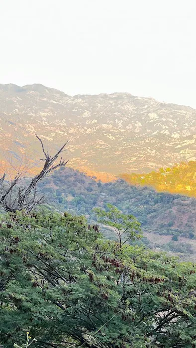 Spring Hill Environmental Picture 7