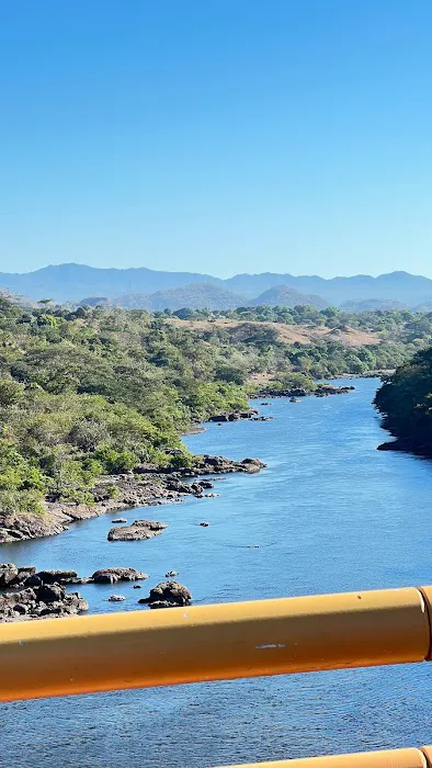 Spring Hill Environmental Picture 4