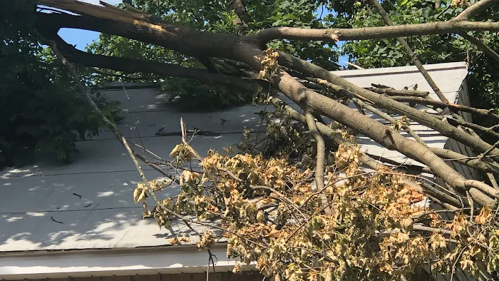 Coastal Claims Services Picture 1