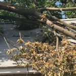 Coastal Claims Services