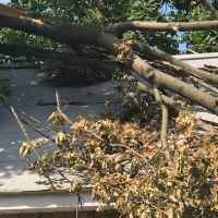 Coastal Claims Services ico