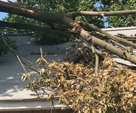 Coastal Claims Services