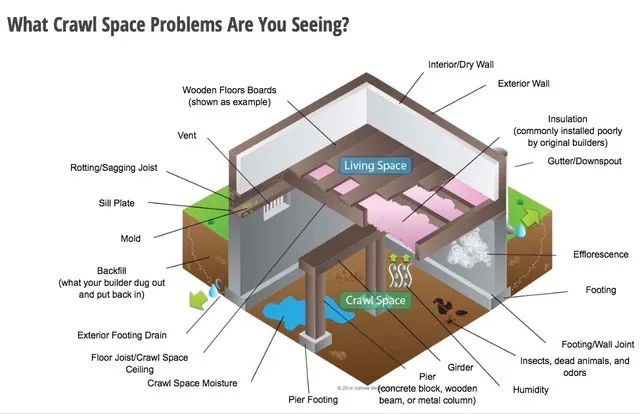 Pollution Solutions Remediation & Mold Services Picture 3