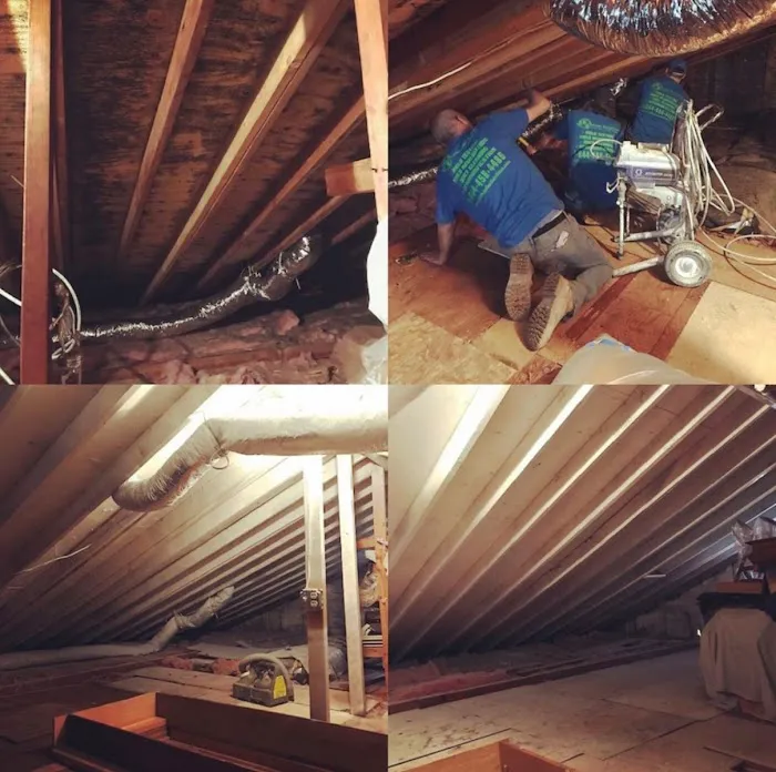 Pollution Solutions Remediation & Mold Services Picture 4