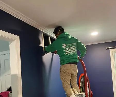 Pollution Solutions Remediation & Mold Services