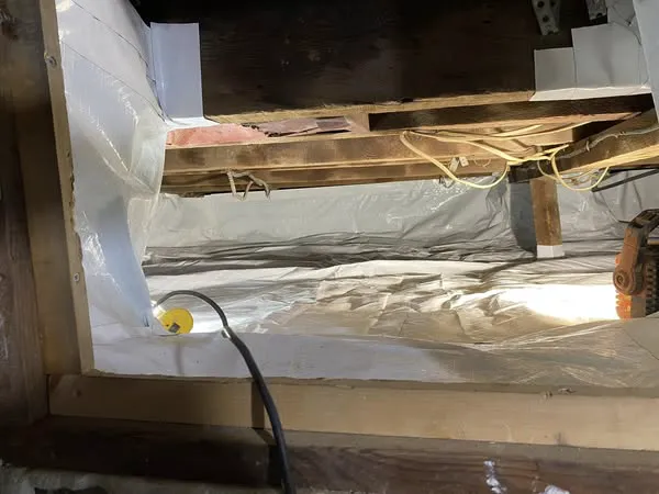 Pollution Solutions Remediation & Mold Services Picture 2