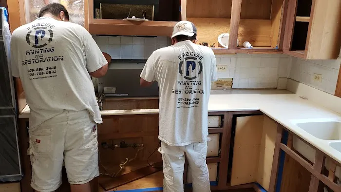 Precise Painting and Restoration Picture 9