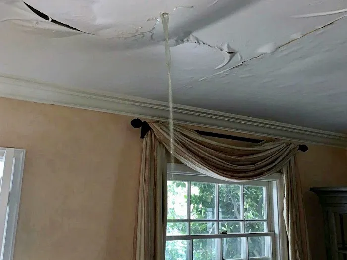 White Glove Flood Restoration Picture 5