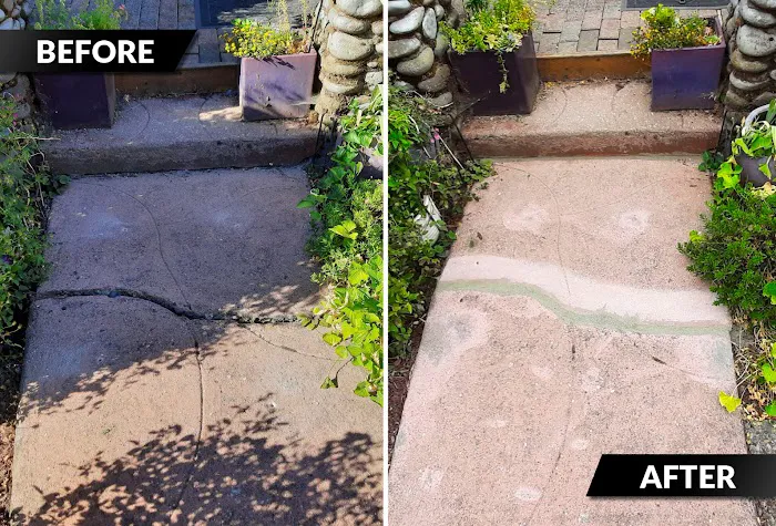 TerraFirma Picture 5