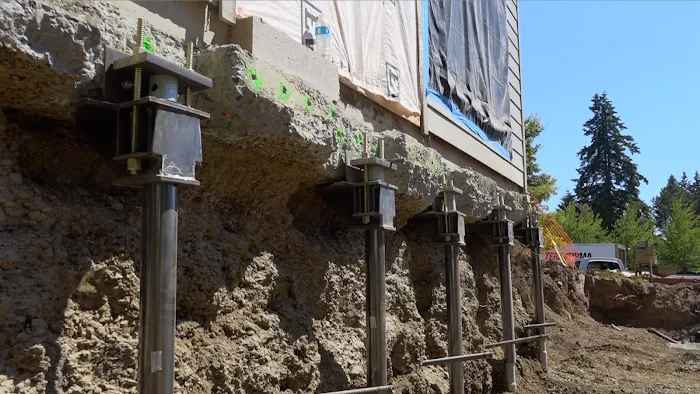 TerraFirma Picture 9