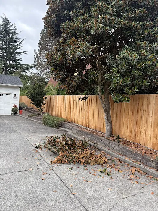 TerraFirma Picture 10