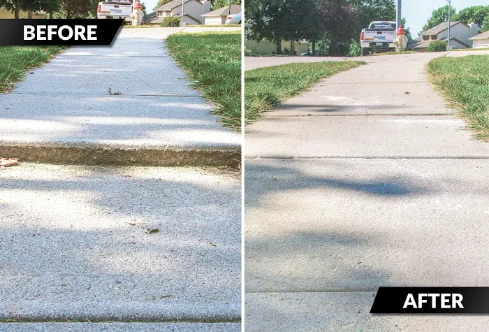 TerraFirma Picture 8