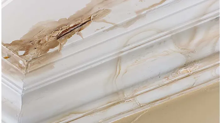 CORE by Disaster Services Picture 1