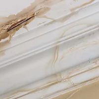 CORE by Disaster Services ico