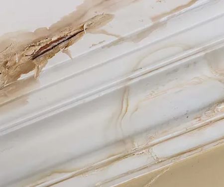 CORE by Disaster Services