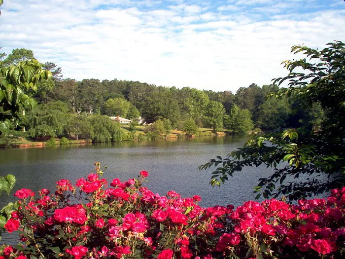 Mold Remediation Professionals Picture 7