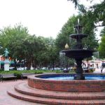 Mold Remediation Professionals