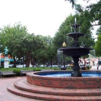 Mold Remediation Professionals ico