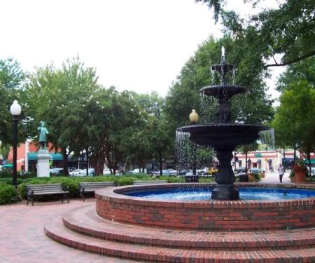 Mold Remediation Professionals