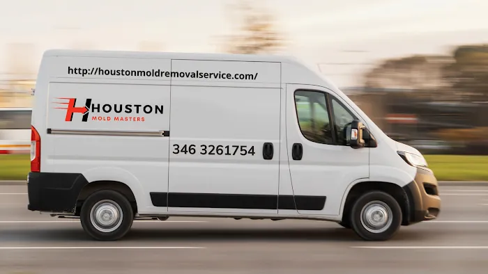 Houston Mold Masters Picture 3