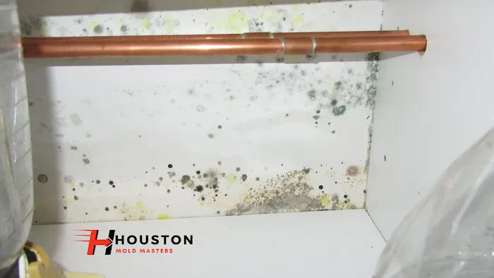Houston Mold Masters Picture 4