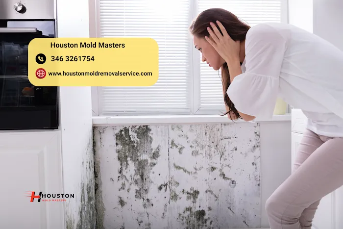 Houston Mold Masters Picture 2