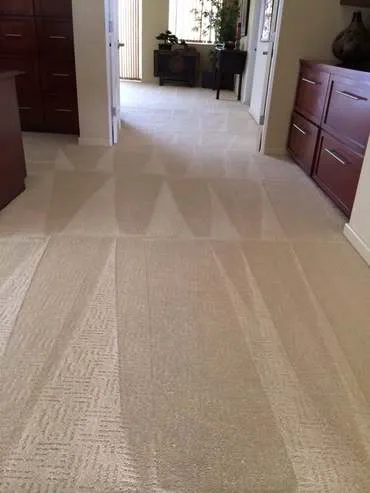 Steam Express Picture 10