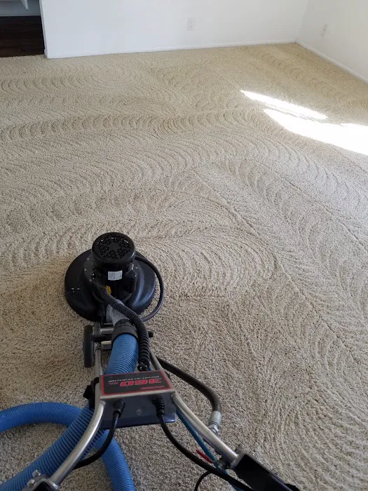 Steam Express Picture 3