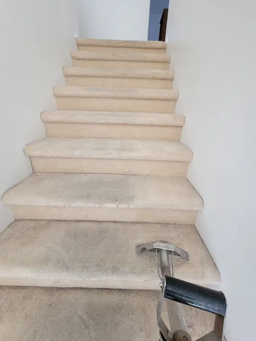 Royal Surface Restore Picture 7