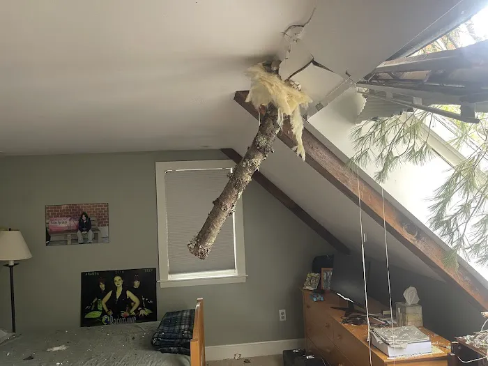 Elite Construction Picture 3