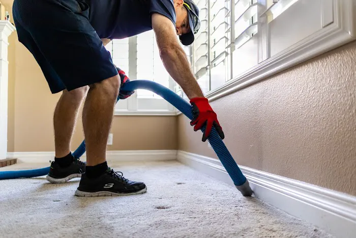 Clean it Right Carpet Care Picture 5