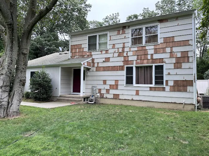 The Renovators Picture 5