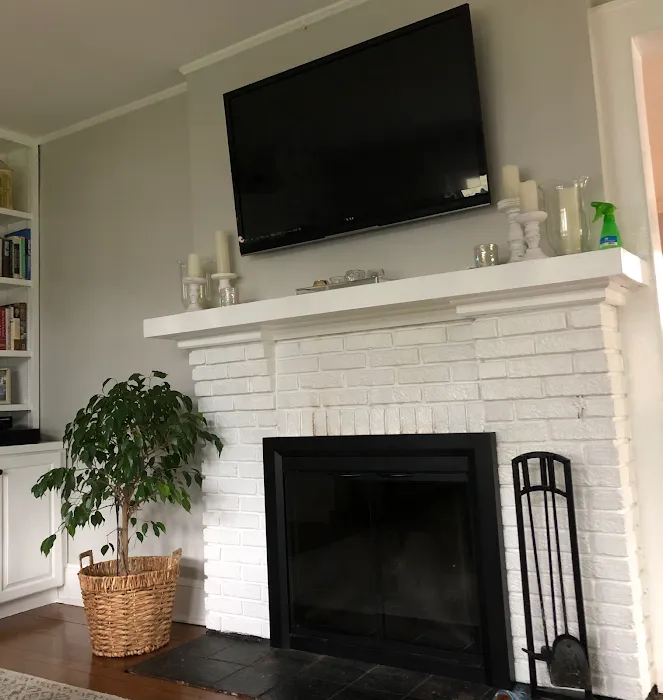 The Renovators Picture 8