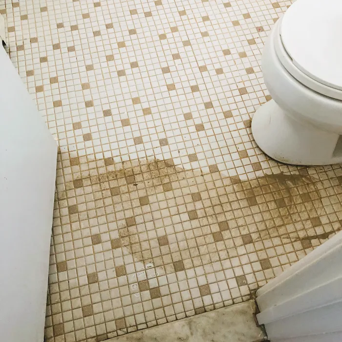 The Renovators Picture 7