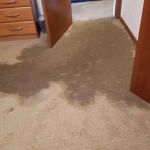 Water Damage Repair for Soggy Carpets: Tips and Tricks