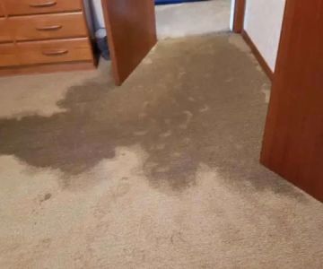 Water Damage Repair for Soggy Carpets: Tips and Tricks