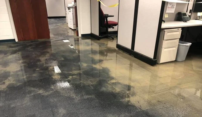 Water Damage Restoration for Office Buildings: Effective Solutions for Business Recovery