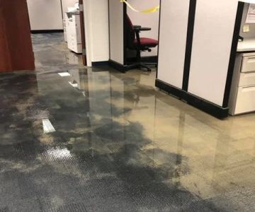 Water Damage Restoration for Office Buildings: Effective Solutions for Business Recovery