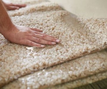 Water Damage Repair for Carpets and Rugs: How to Fix and Restore