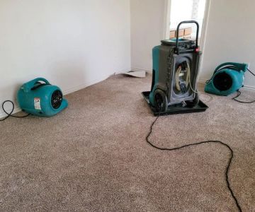 Water Damage Restoration for Rental Properties: What Tenants Should Know