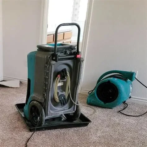 Water Damage Restoration Techniques: Drying, Sanitizing, and More