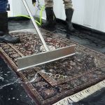 How to Dry Out Water-Damaged Rugs Quickly: Expert Guide
