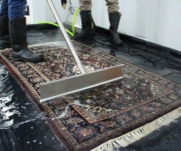 How to Dry Out Water-Damaged Rugs Quickly: Expert Guide