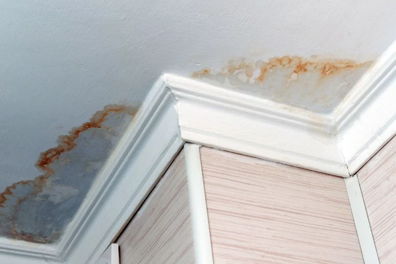 How to Handle Water Damage From Ceiling Leaks